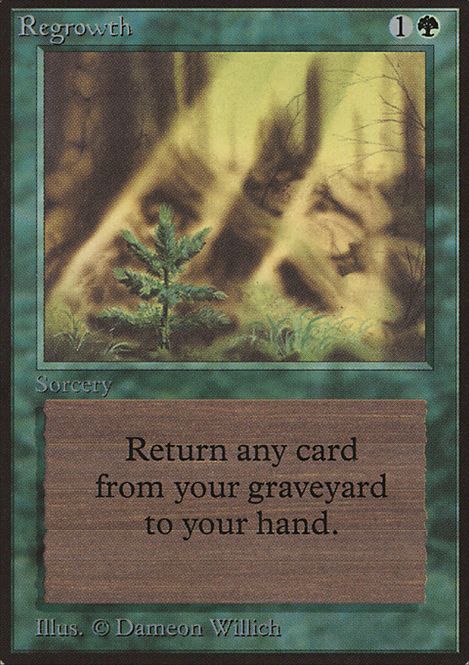 Hovedbilde Regrowth