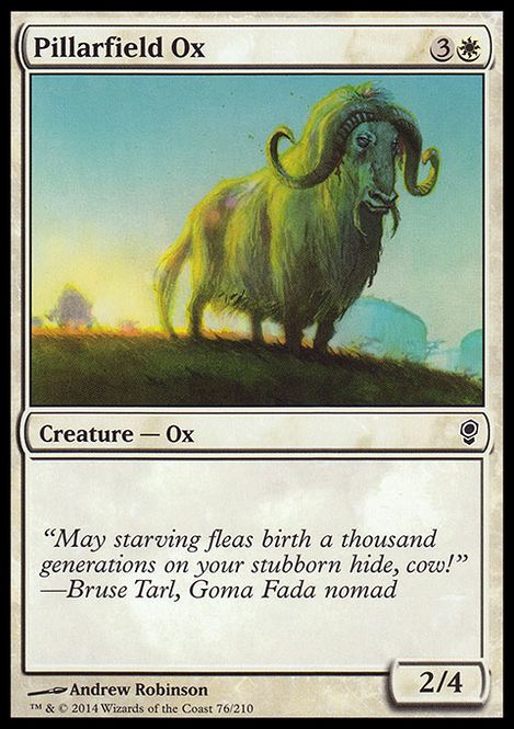 Hovedbilde Pillarfield Ox
