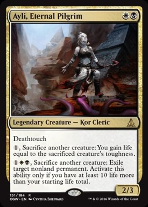 Hovedbilde Ayli, Eternal Pilgrim