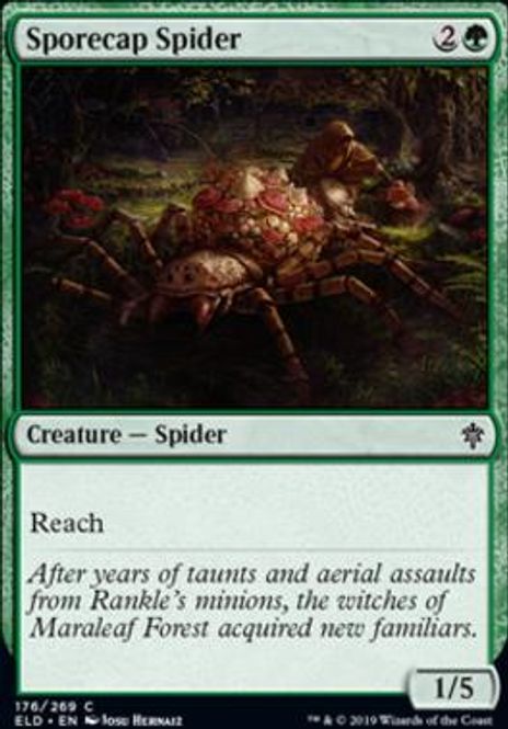Hovedbilde Sporecap Spider