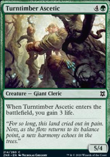 Hovedbilde Turntimber Ascetic (foil)