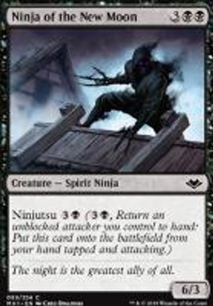 Hovedbilde Ninja of the New Moon