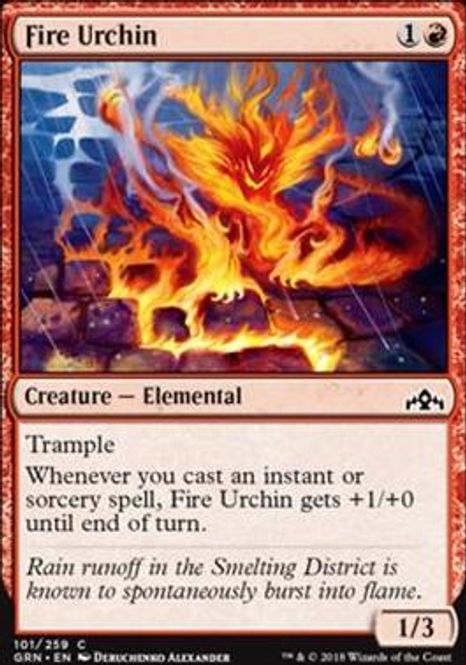 Hovedbilde Fire Urchin