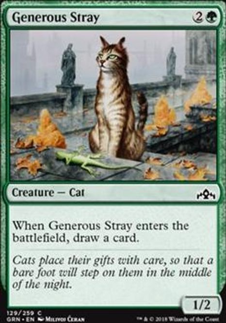 Hovedbilde Generous Stray