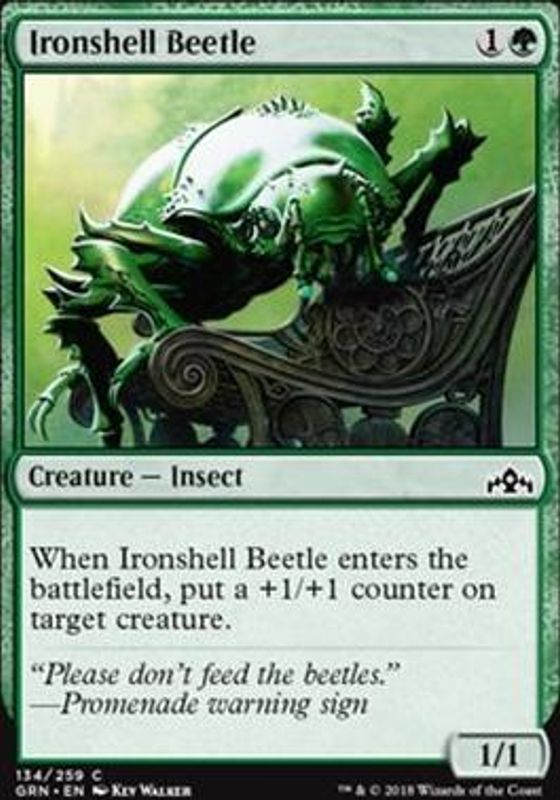 Ironshell Beetle