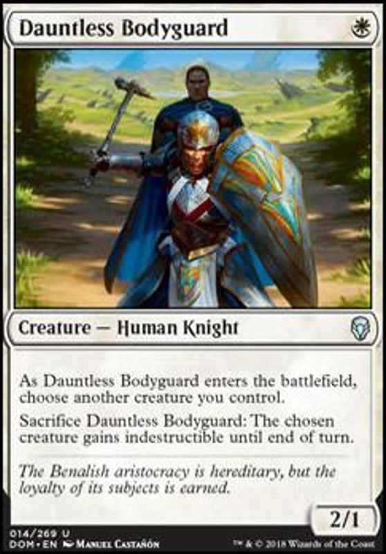 Dauntless Bodyguard