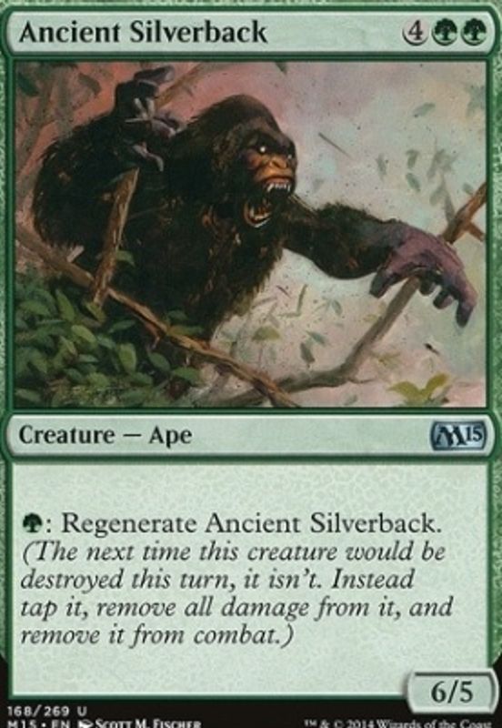 Ancient Silverback