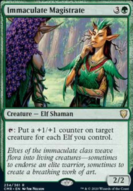 Hovedbilde Immaculate Magistrate