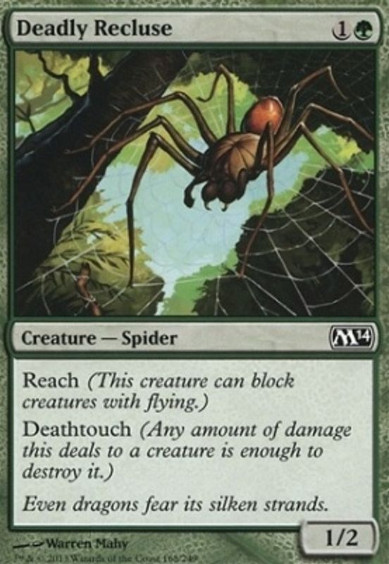 Deadly Recluse