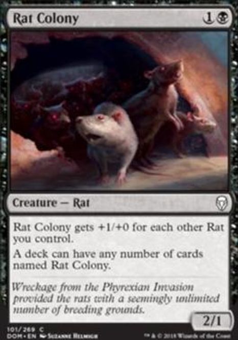 Hovedbilde Rat Colony