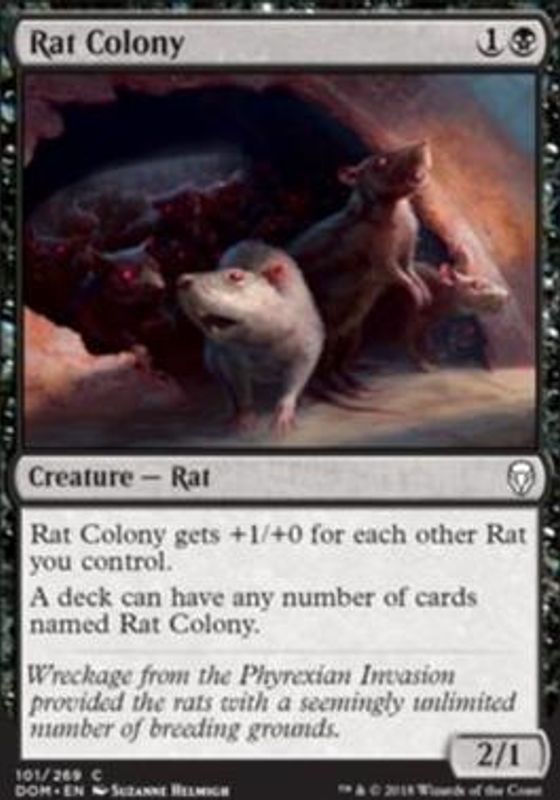 Rat Colony