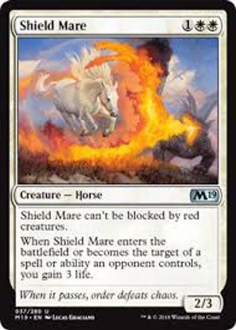 Hovedbilde Shield Mare