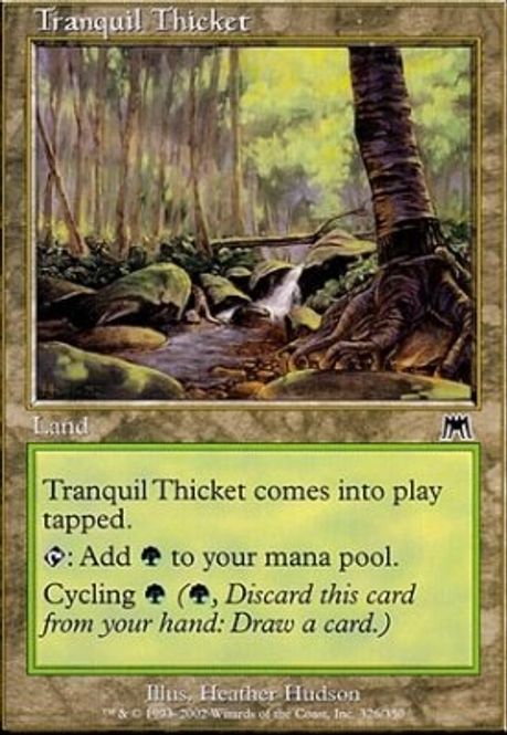 Hovedbilde Tranquil Thicket