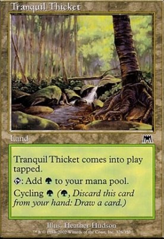 Tranquil Thicket