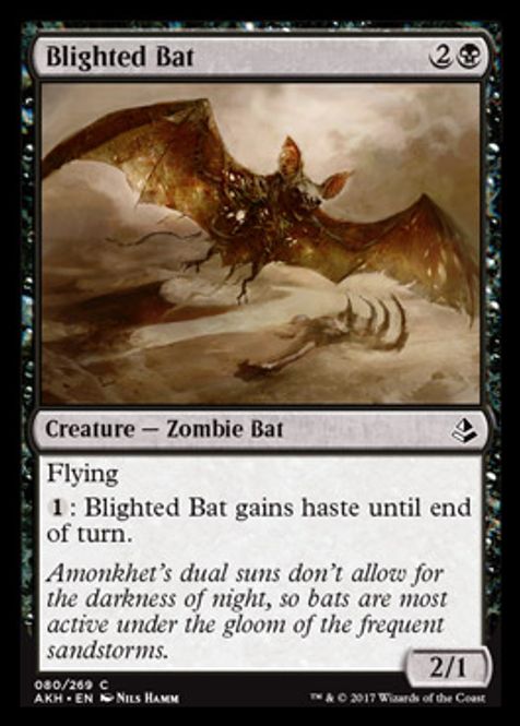 Hovedbilde Blighted Bat