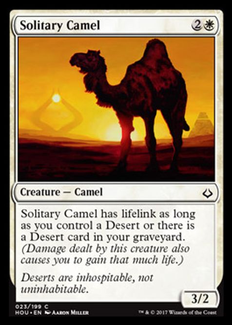 Hovedbilde Solitary Camel
