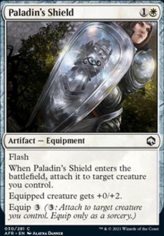 Paladin's Shield