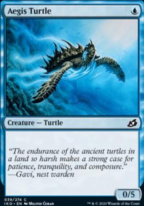 Hovedbilde Aegis Turtle