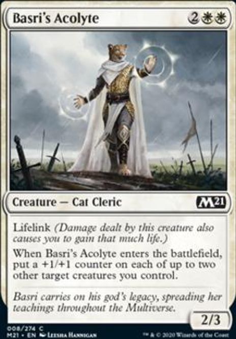 Hovedbilde Basri's Acolyte