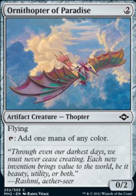 Hovedbilde Ornithopter of Paradise