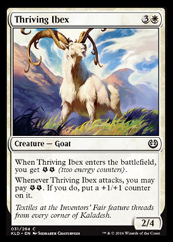 Thriving Ibex