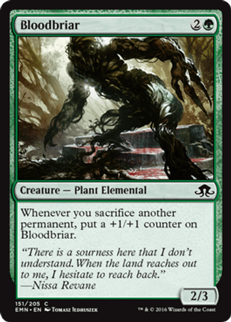 Hovedbilde Bloodbriar