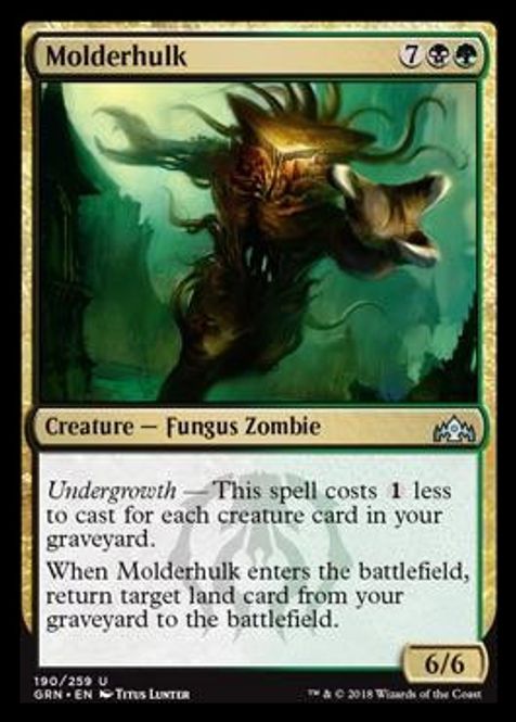 Hovedbilde Molderhulk