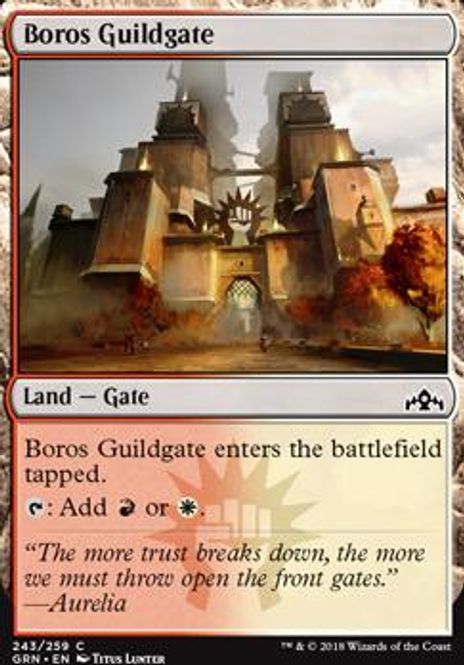 Hovedbilde Boros Guildgate 243A