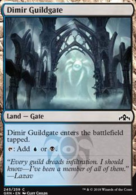 Hovedbilde Dimir Guildgate 245A