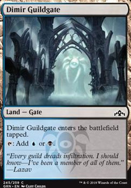 Dimir Guildgate 245A