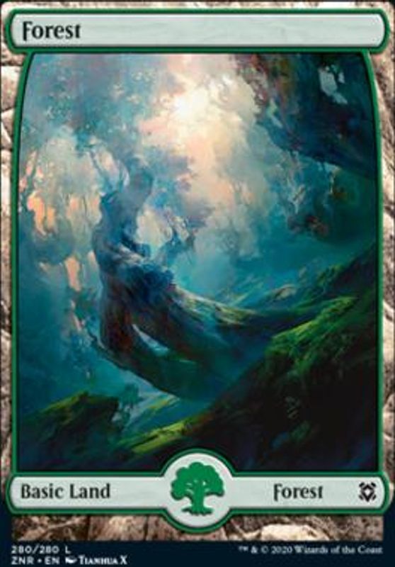 Forest (280)