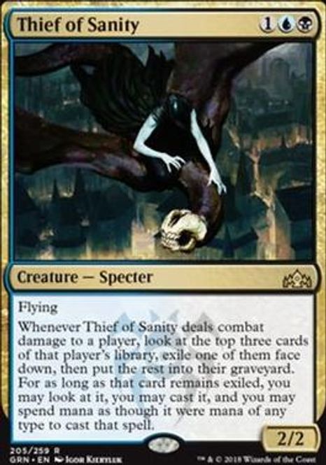 Hovedbilde Thief of Sanity