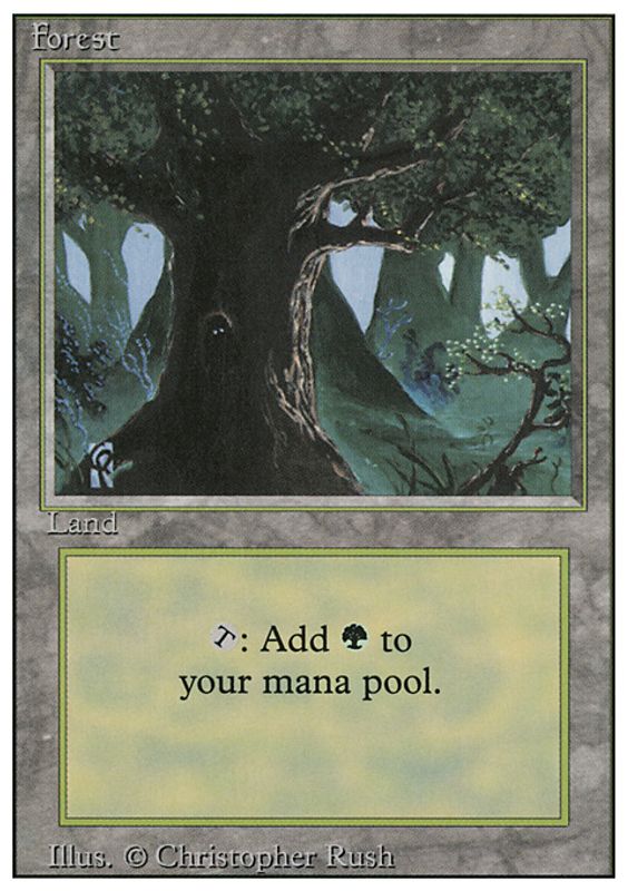 Forest C
