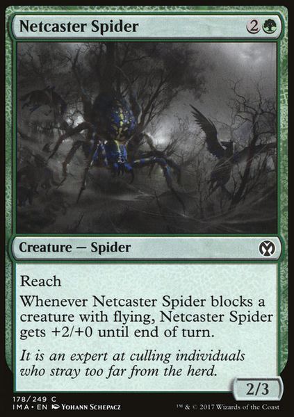 Hovedbilde Netcaster Spider