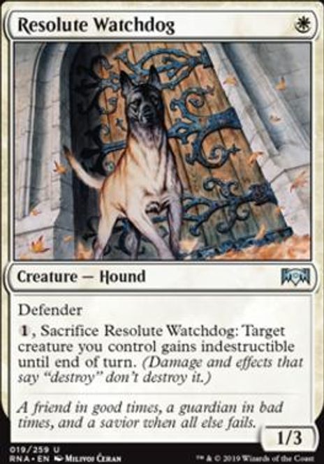 Hovedbilde Resolute Watchdog