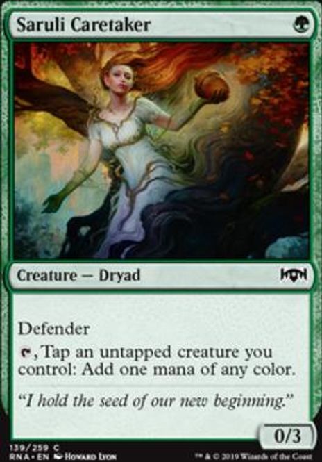 Hovedbilde Saruli Caretaker (foil)