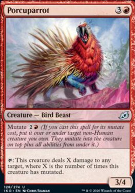 Hovedbilde Porcuparrot