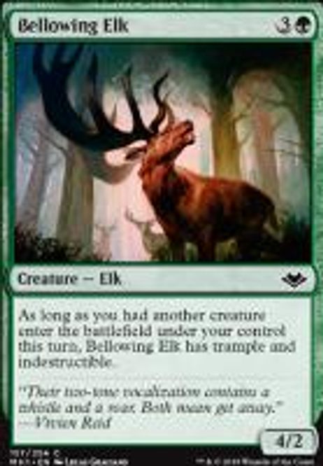Hovedbilde Bellowing Elk