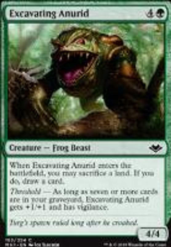 Excavating Anurid (foil)