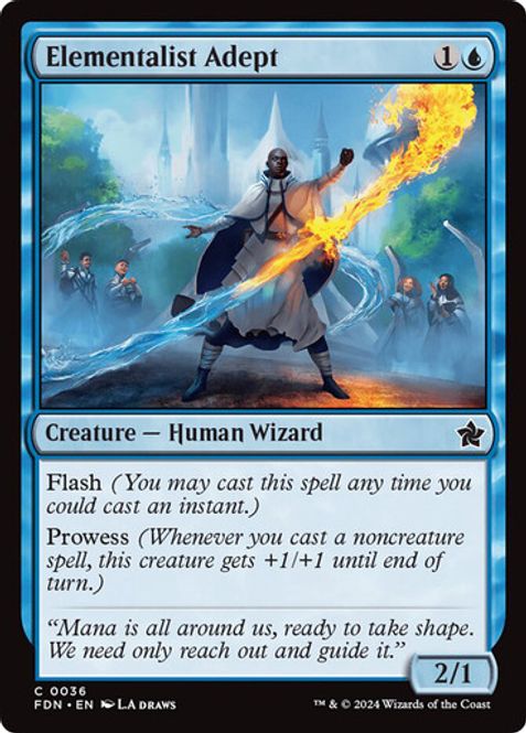 Hovedbilde Elementalist Adept