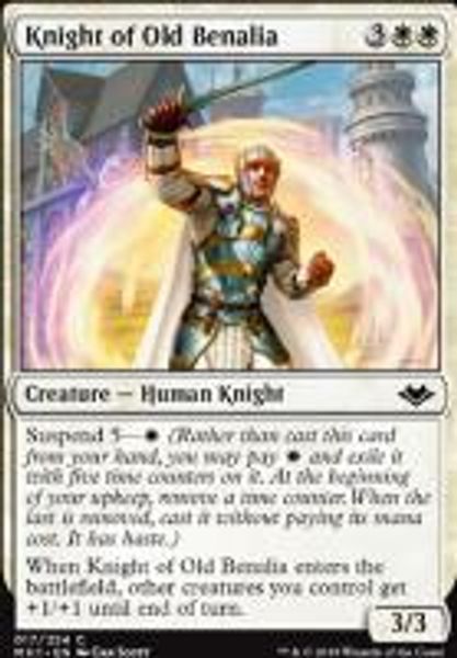 Hovedbilde Knight of Old Benalia