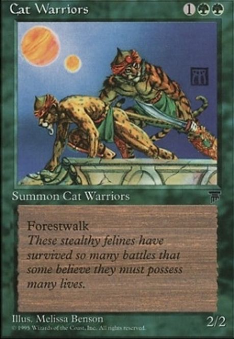 Hovedbilde Cat Warriors