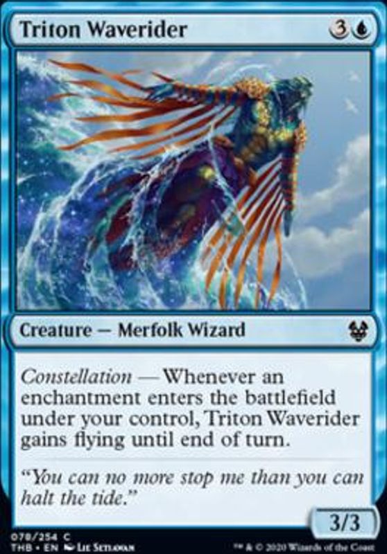 Triton Waverider (foil)