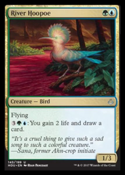 Hovedbilde River Hoopoe