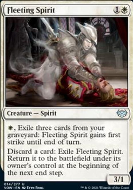 Hovedbilde Fleeting Spirit