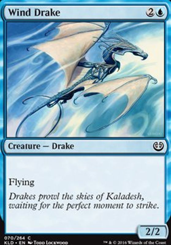 Wind Drake