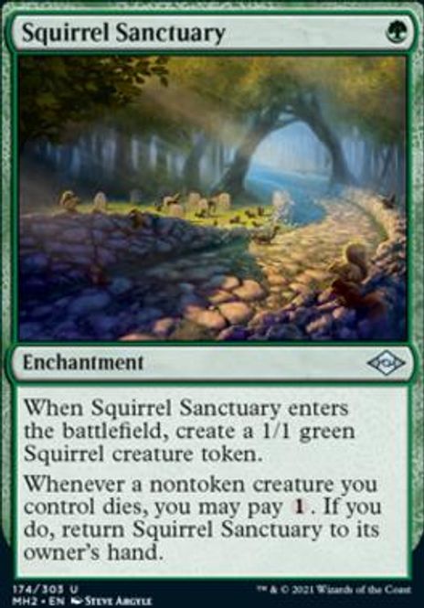 Hovedbilde Squirrel Sanctuary