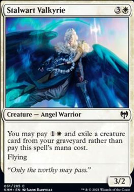 Hovedbilde Stalwart Valkyrie