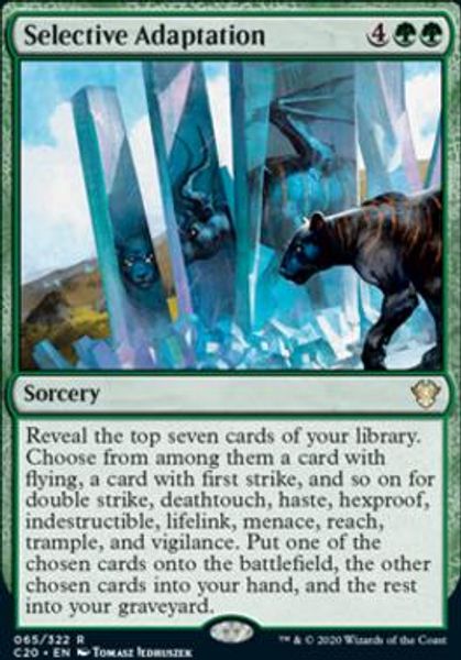 Hovedbilde Selective Adaptation