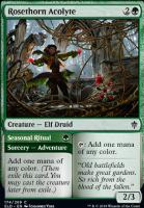 Hovedbilde Rosethorn Acolyte